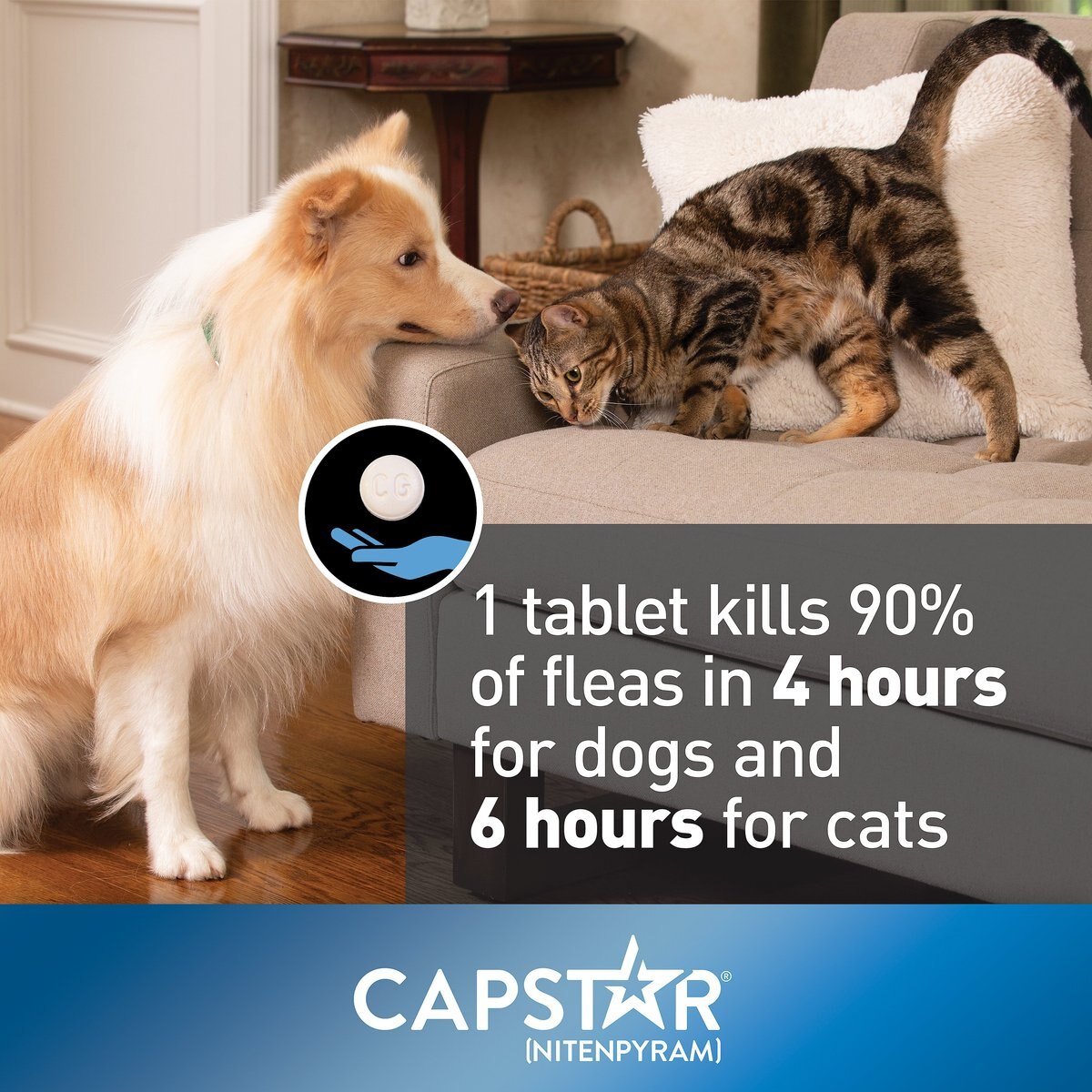 Capstar Flea Oral Treatment for Cats， 2-25 lbs