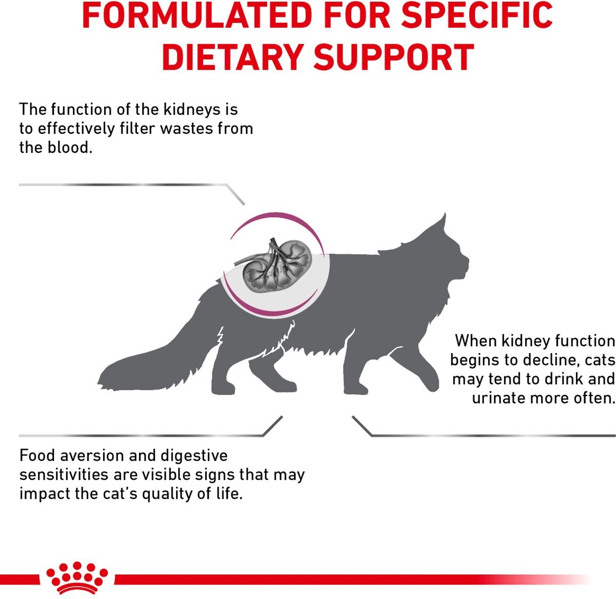 Royal Canin Veterinary Diet Adult Renal Support F Dry Cat Food