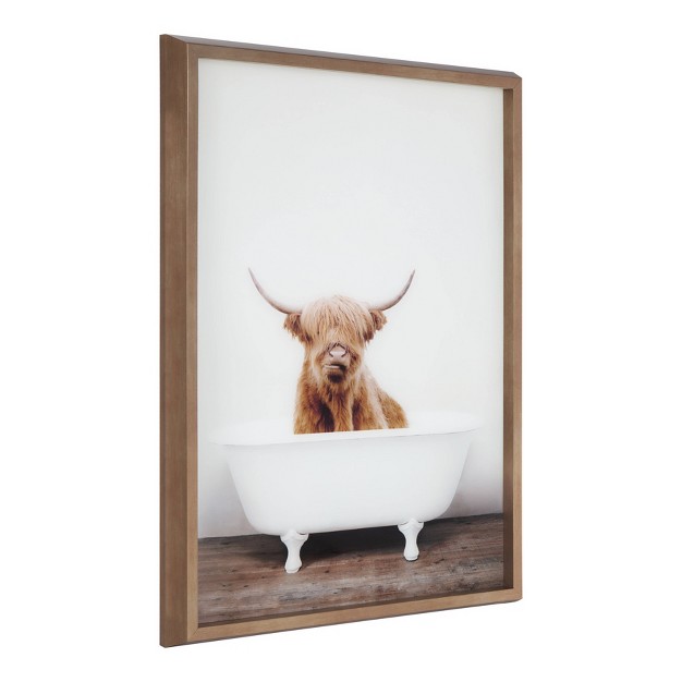 X 24 quot Blake Highland Cow In Tub Framed Printed Glass By Amy Peterson Gold Kate And Laurel