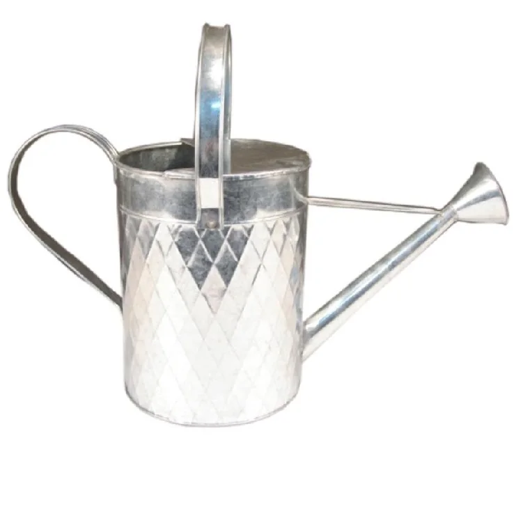 Modern Style Watering Canes Stainless Steel Watering Can For Indoor Outdoor Garden Flower Garden Supplies Water Plant