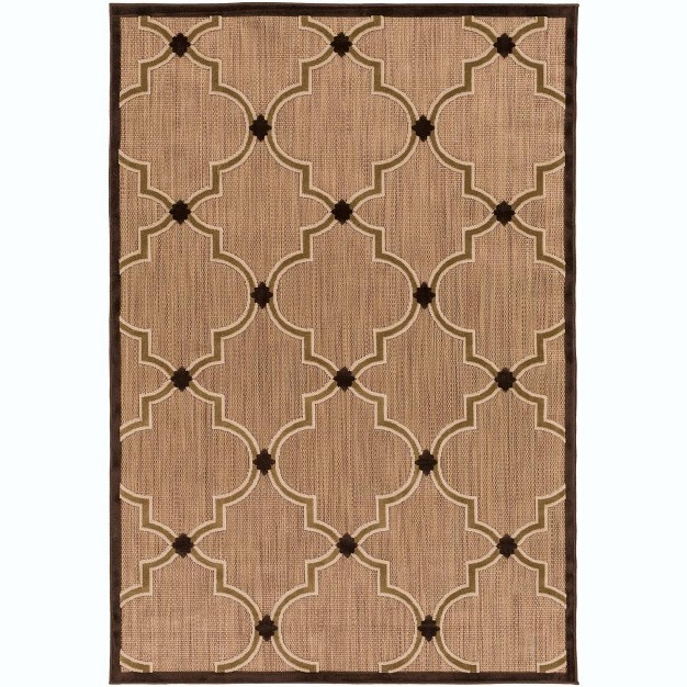 Rectangle Woven Indoor And Outdoor Area Rugs Dark Brown