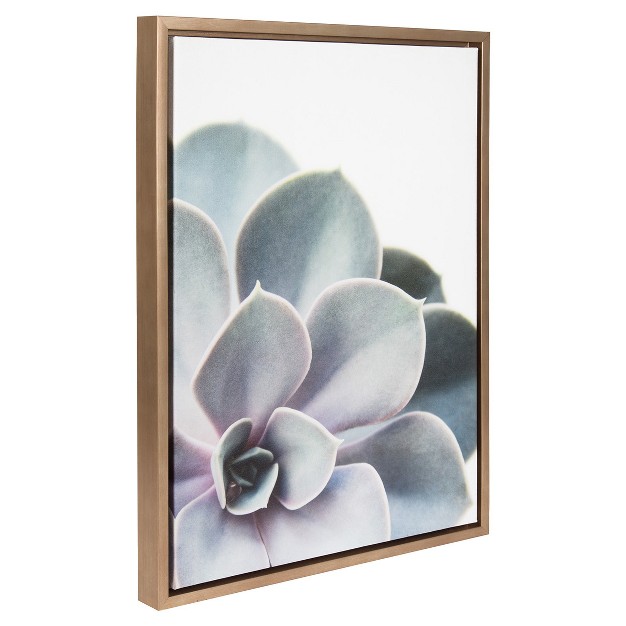 Succulents Framed Kids x27 Canvas Art Gold 24 quot x18 quot Uniek