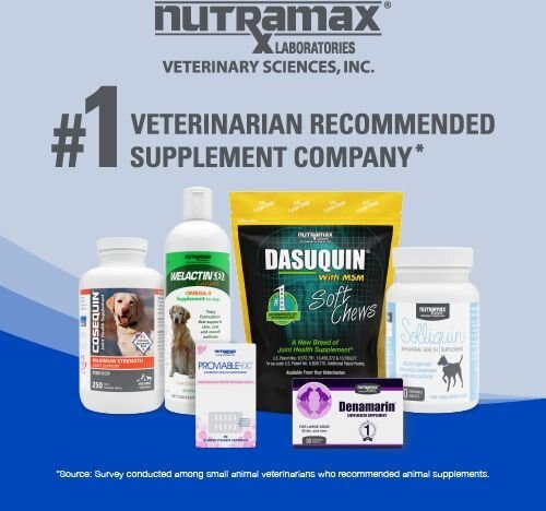 Nutramax Cobalequin Chewable Tablets B12 Supplement for Cats and Small Dogs， 45 count