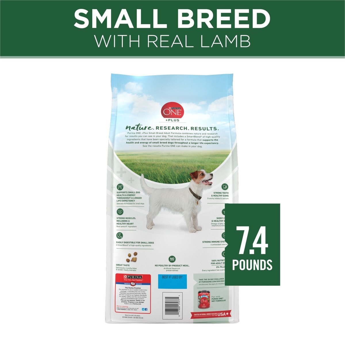 Purina ONE +Plus Adult Small Breed Lamb and Rice Formula Dry Dog Food