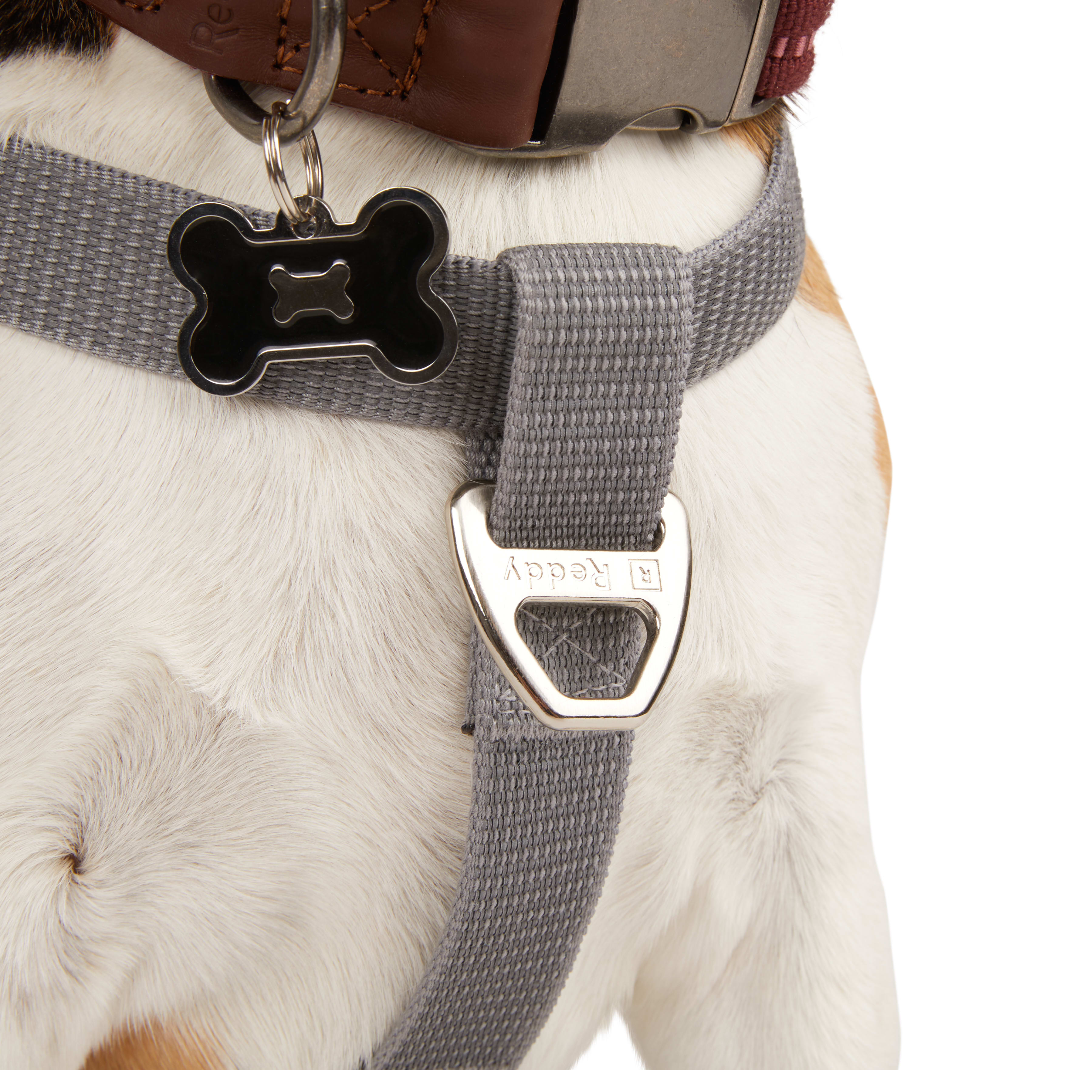 REDDY Grey Reflective Dog Harness， Medium