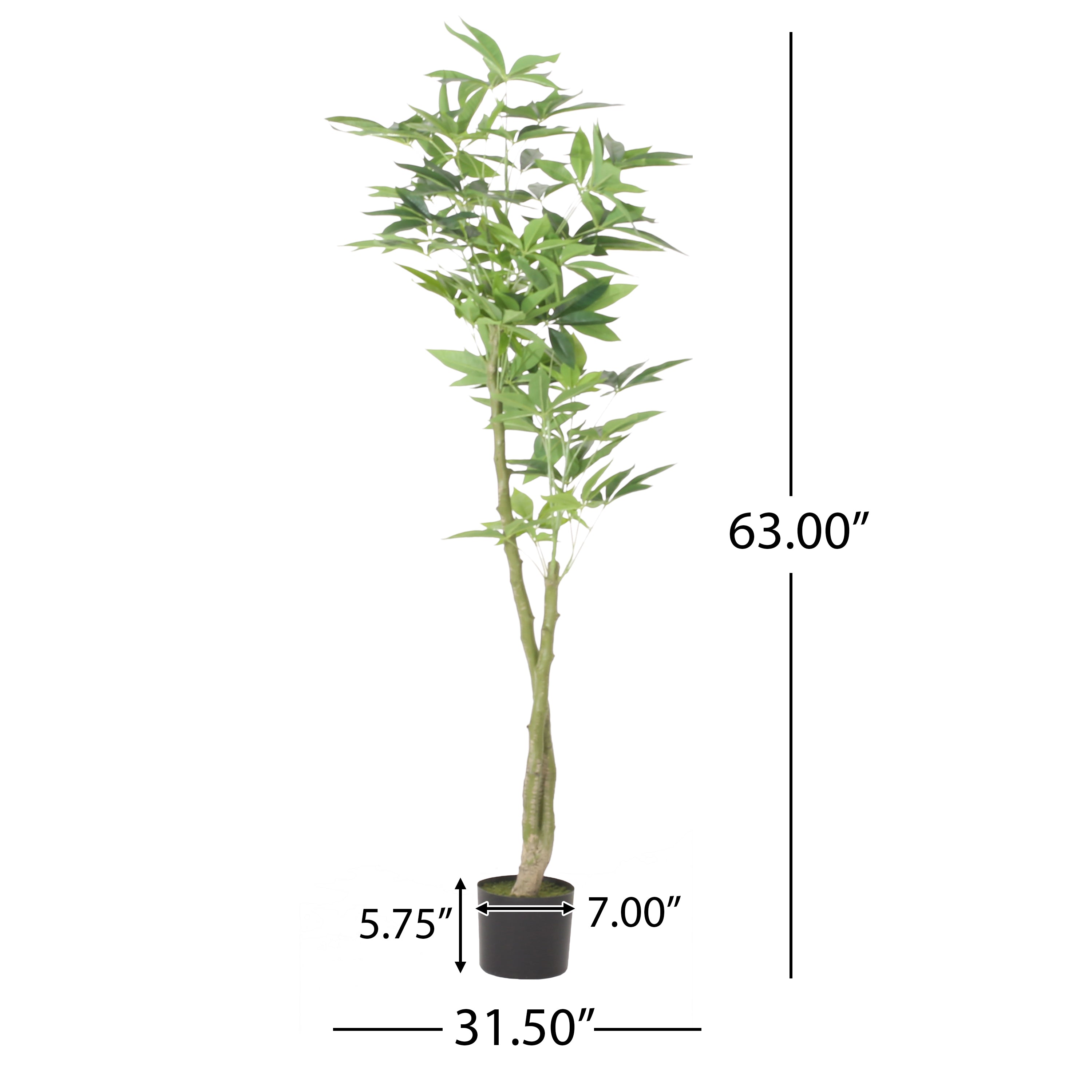 Coles Artificial Money Tree