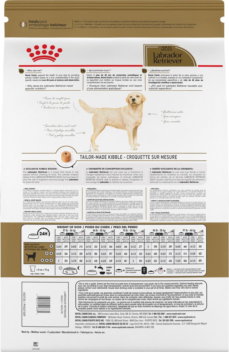 Royal Canin Breed Health Nutrition Labrador Retriever Adult Dry Dog Food