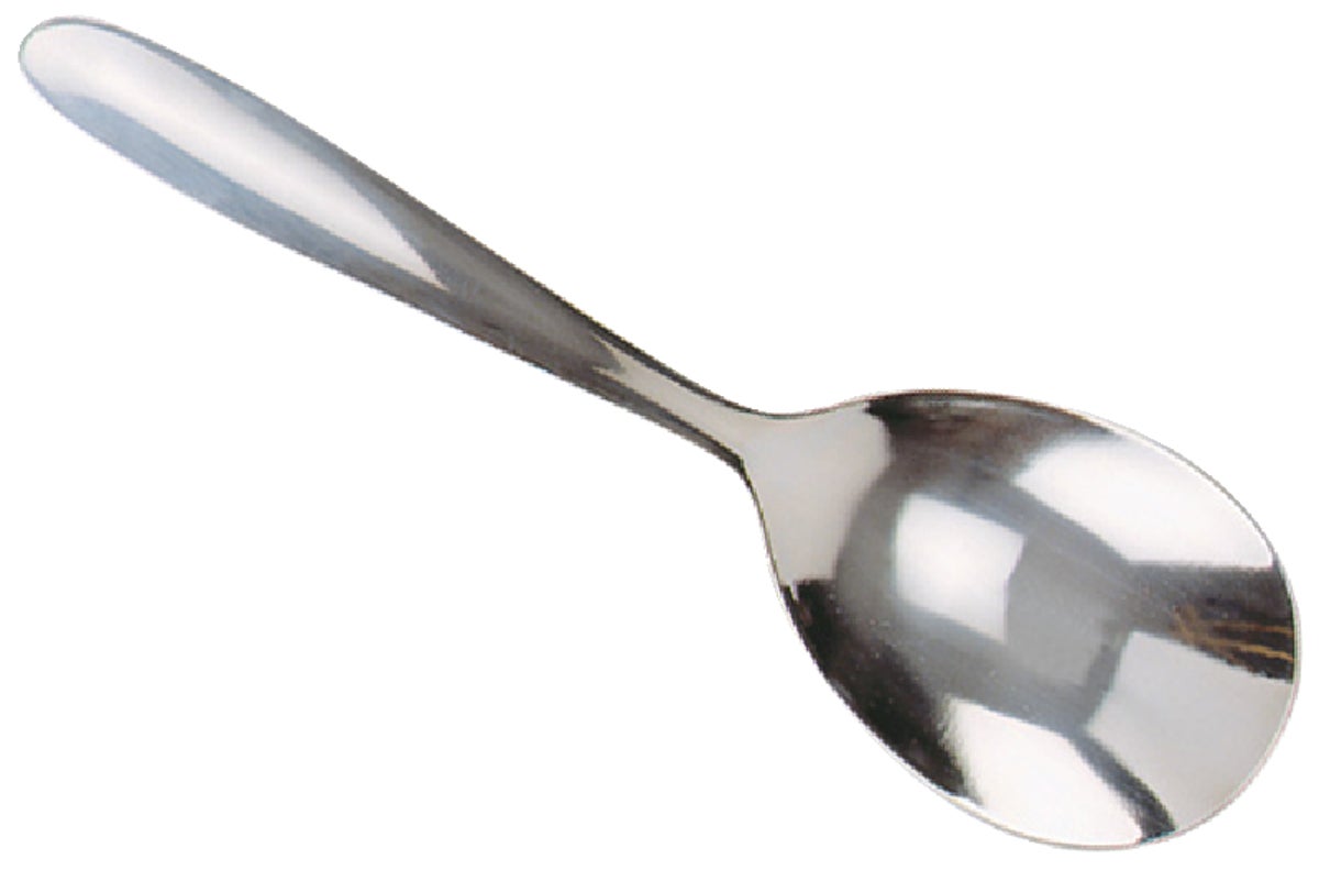 Norpro Stainless Steel Serving Spoon Silver