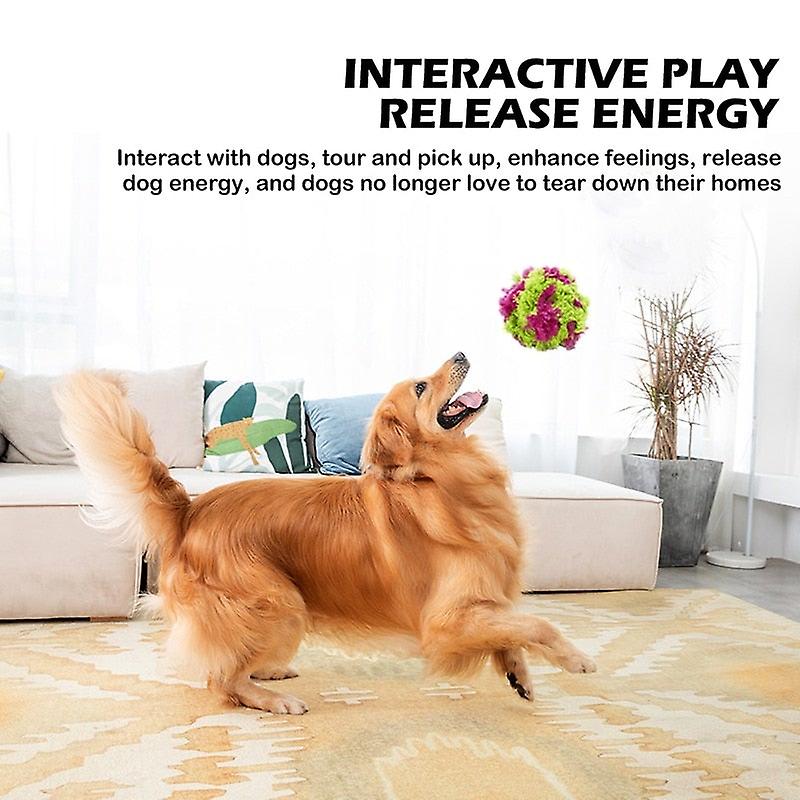 Interactive dog chewing fun toys