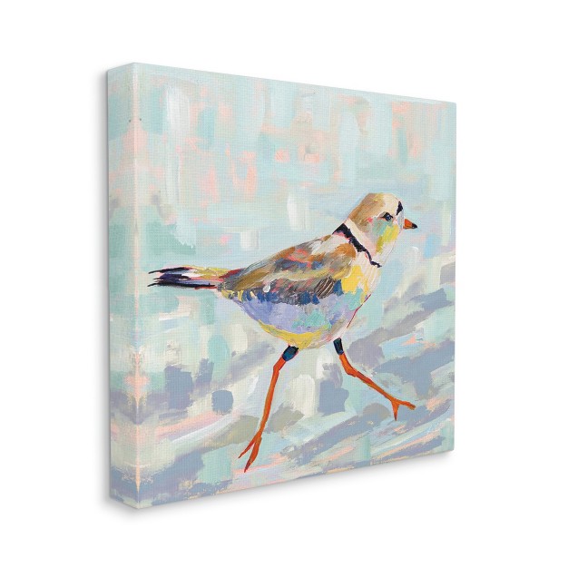 Stupell Industries Coastal Plover Abstract Bird Gallery Wrapped Canvas Wall Art