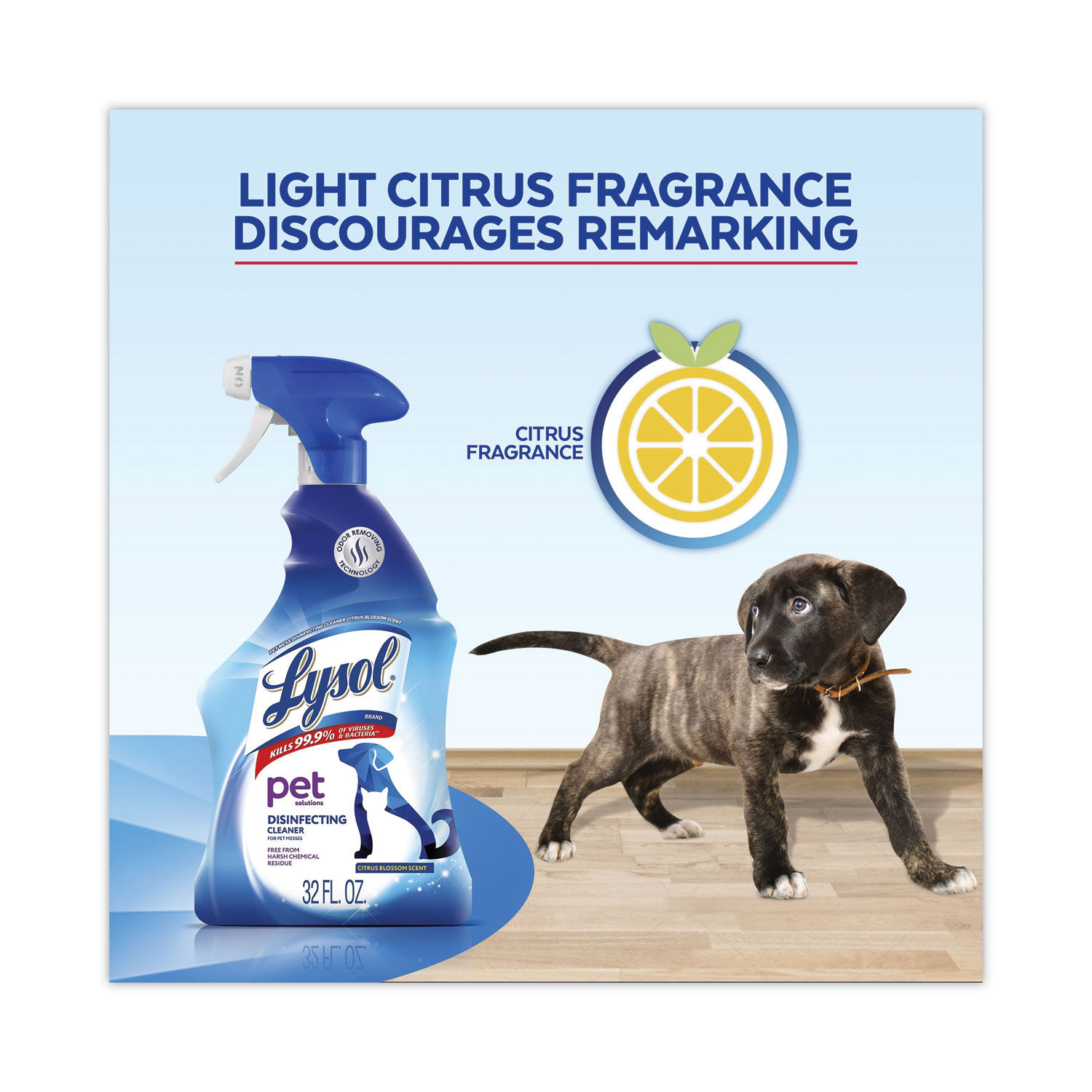 Pet Solutions Disinfecting Cleaner by LYSOLandreg; Brand RAC99653CT