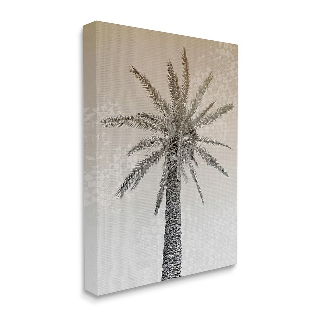 Stupell Industries Vintage Sepia Palm Tree Geometric Pattern Gallery Wrapped Canvas Wall Art 16 X 20