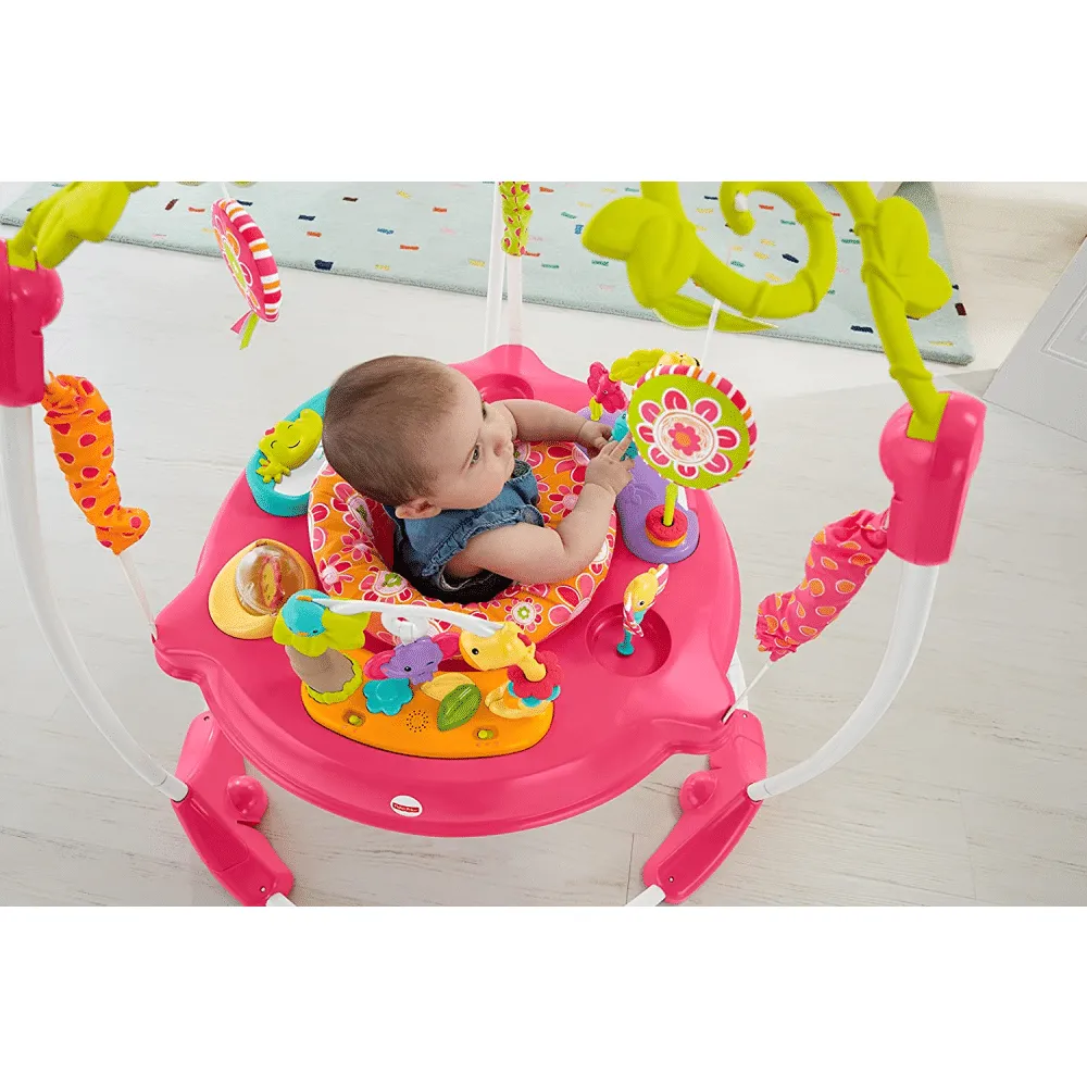 Fisher-Price Jumperoo， Pink Petals