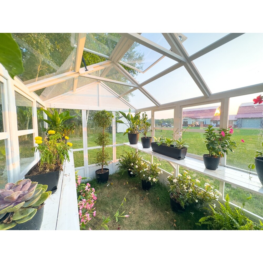 Zylina XL Hobby Greenhouse   103 x 78 x 89