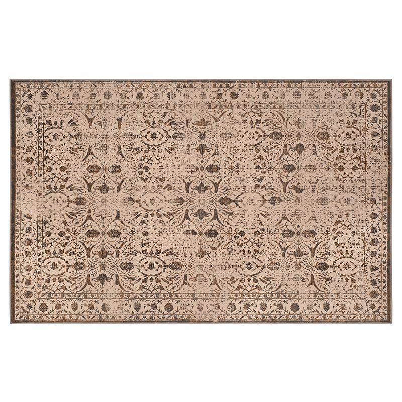 Safavieh Brilliance Gabriella Framed Floral Rug