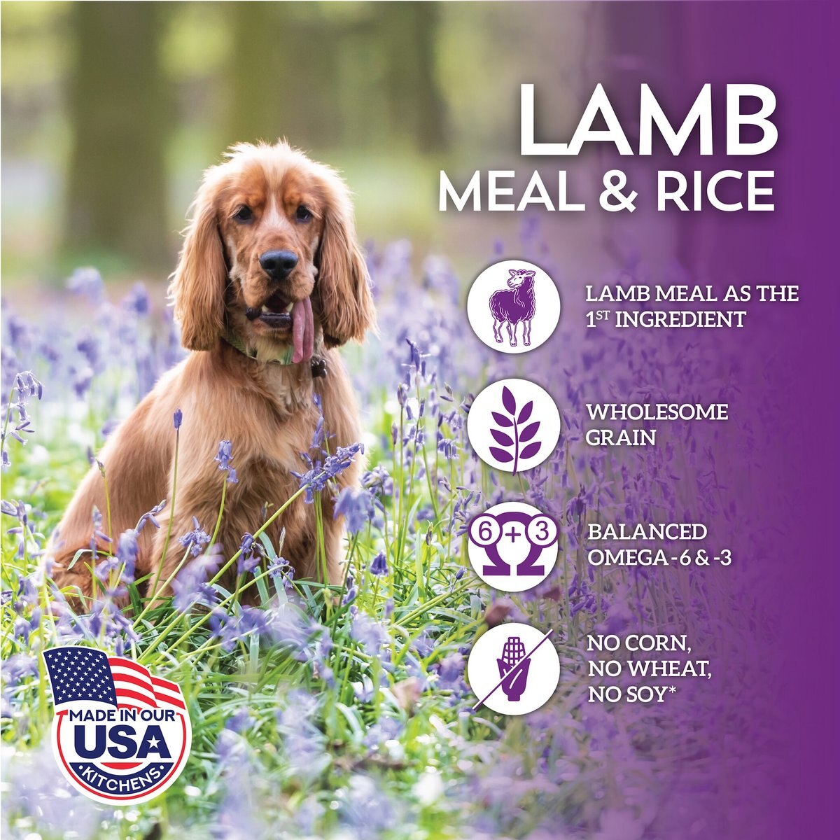 Wholesomes with Lamb Meal and Rice Formula Dry Dog Food