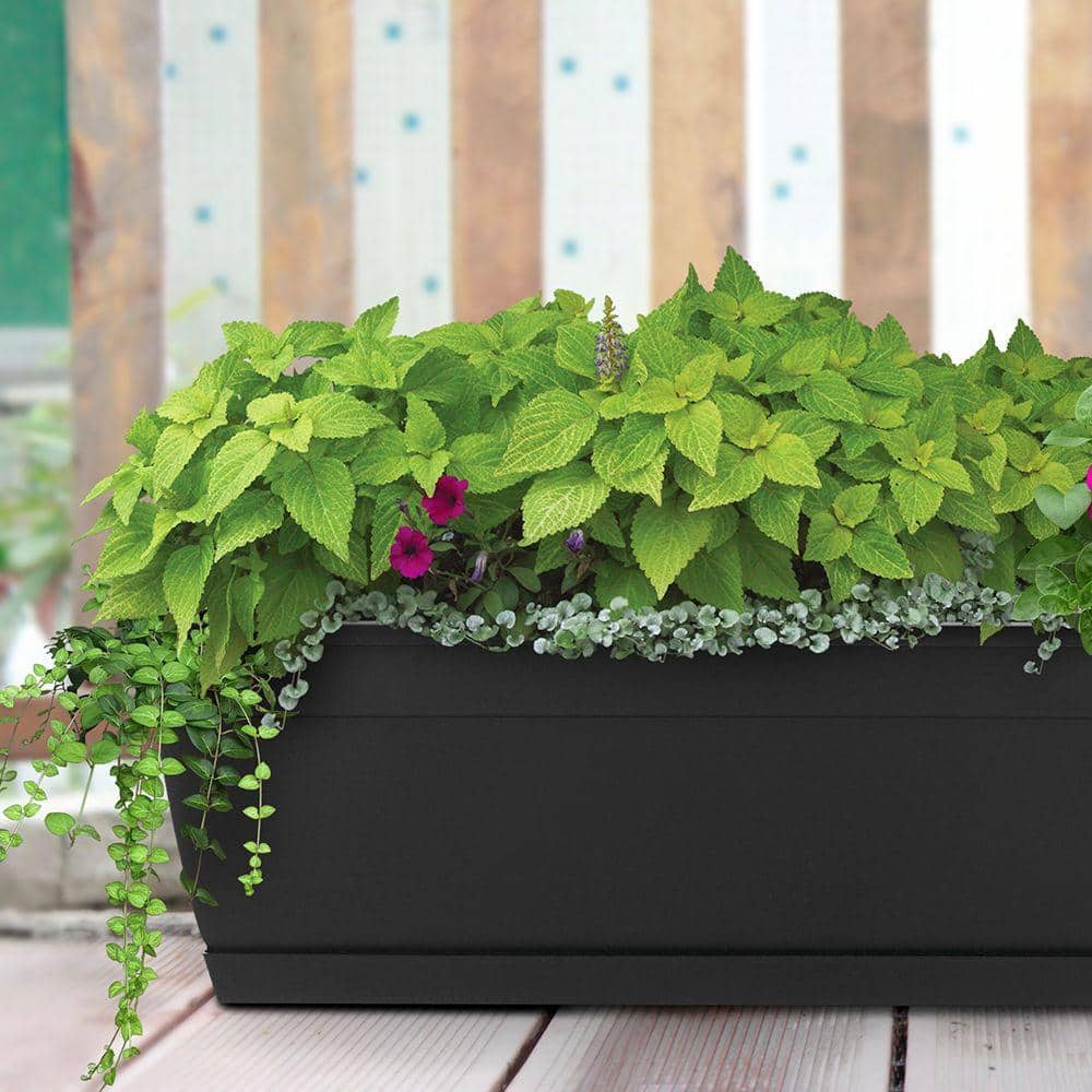 Dynamic Design Newbury Small 7.86 in x 23.75 in. 15 qt. Black Resin Window Box Outdoor Planter with Saucer NW2412BK