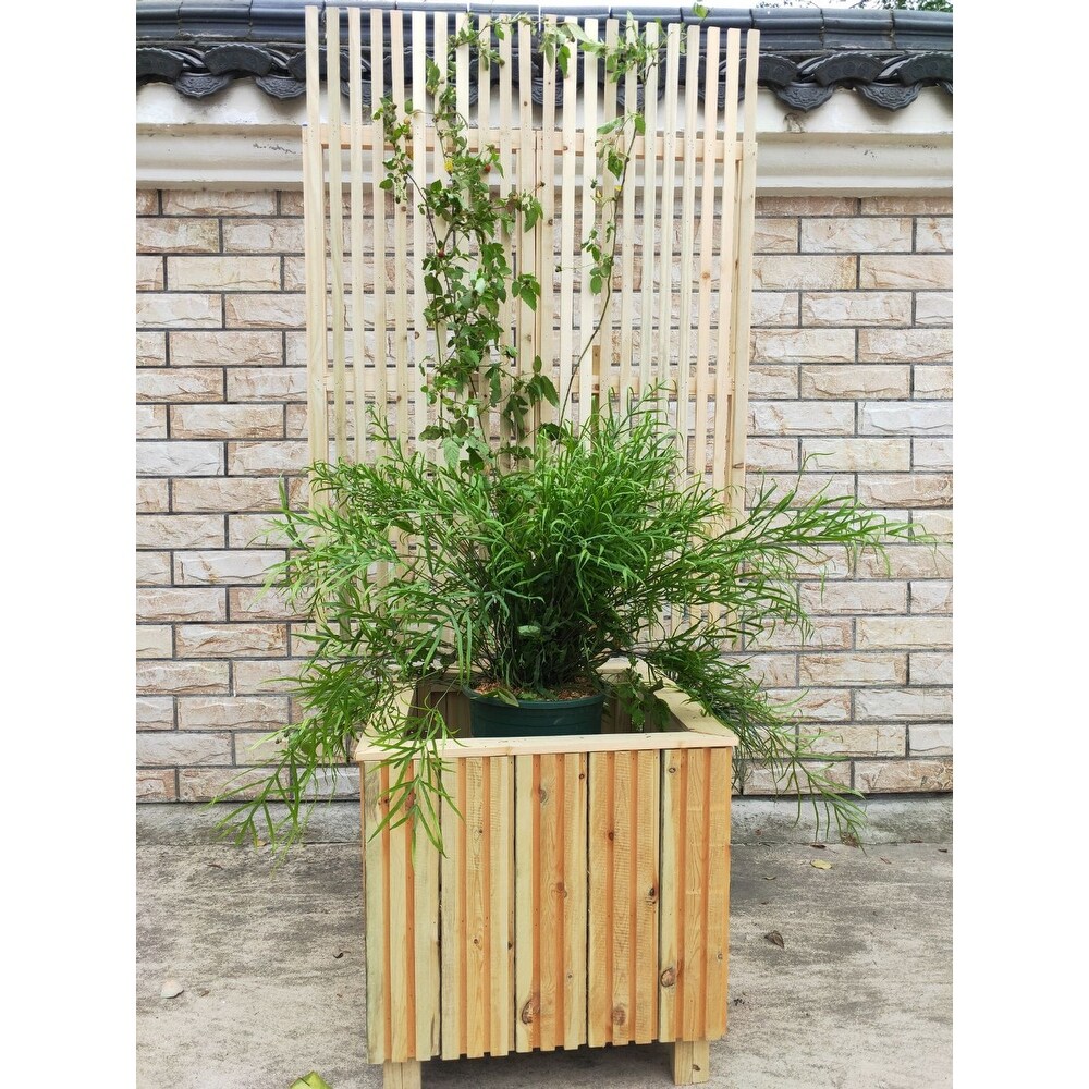 70in x 20in x 20in Wooden Cafe Barrier Planter with Trellis   1 Set