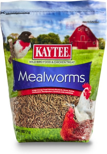 Kaytee Dried Mealworms Wild Bird and Chicken Treat