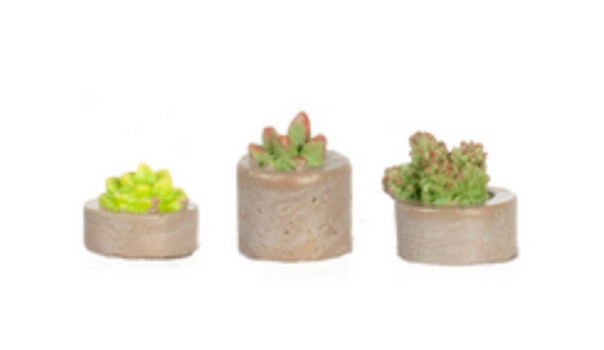 Dolls House 3 Succulents In Plant Pots Miniature Home Or Garden Accessory