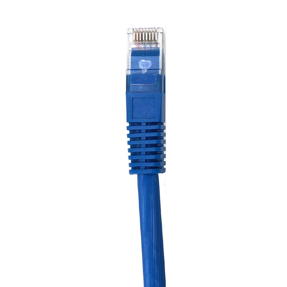 Micro Connectors 100 ft. Augmented Cat6A 10Gb UTP Cable - Blue E09-100BL