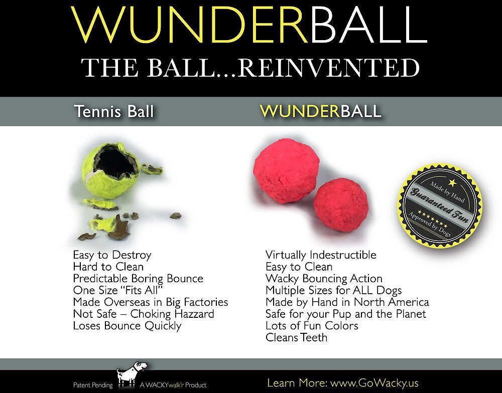 WACKYwalk'r WUNDERBALL Fetch Dog Toy， Color Varies， Small