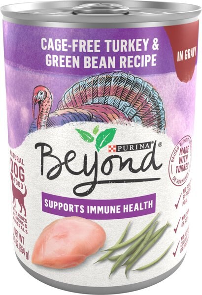 Purina Beyond Turkey and Green Bean Recipe in Gravy Canned Dog Food