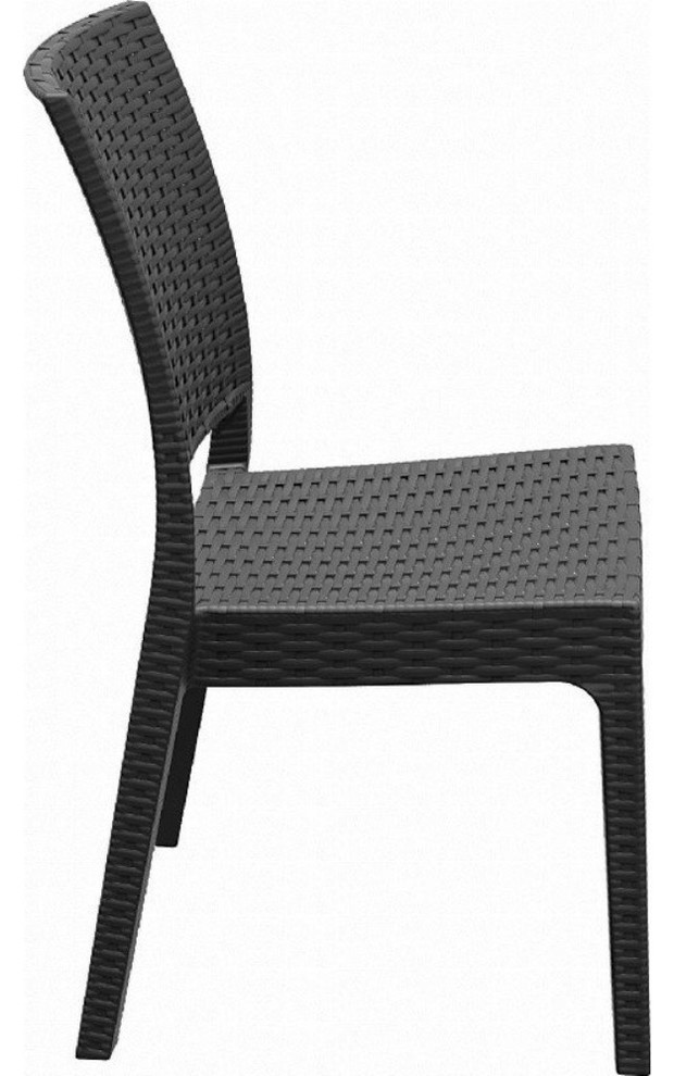 Florida Resin Wickerlook Dining Chair  Set of 2   Tropical   Outdoor Dining Chairs   by Deck Lighting Unlimited  Houzz