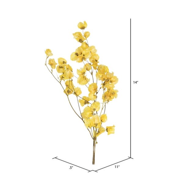 Vickerman 13.517 Yellow Dried Cara Blossom Bundle，Preserved.