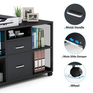 TRIBESIGNS WAY TO ORIGIN Caitlan Black File Cabinet with 4 Open Storage Shelves and 2-Drawers HD-C0318