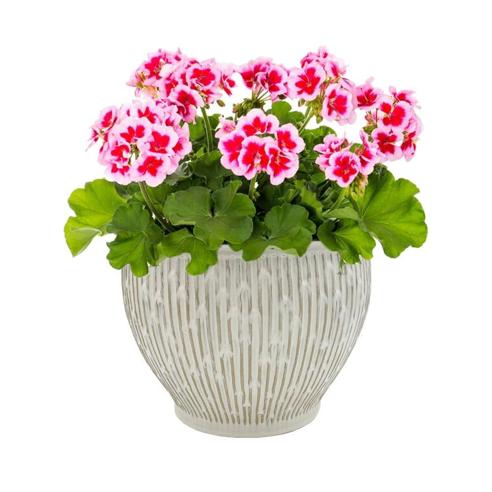 Vigoro 11 in. Alpine Glazed White Ceramic Planter (11 in. D x 8.5 in. H) with Drainage Hole HD1460P-871