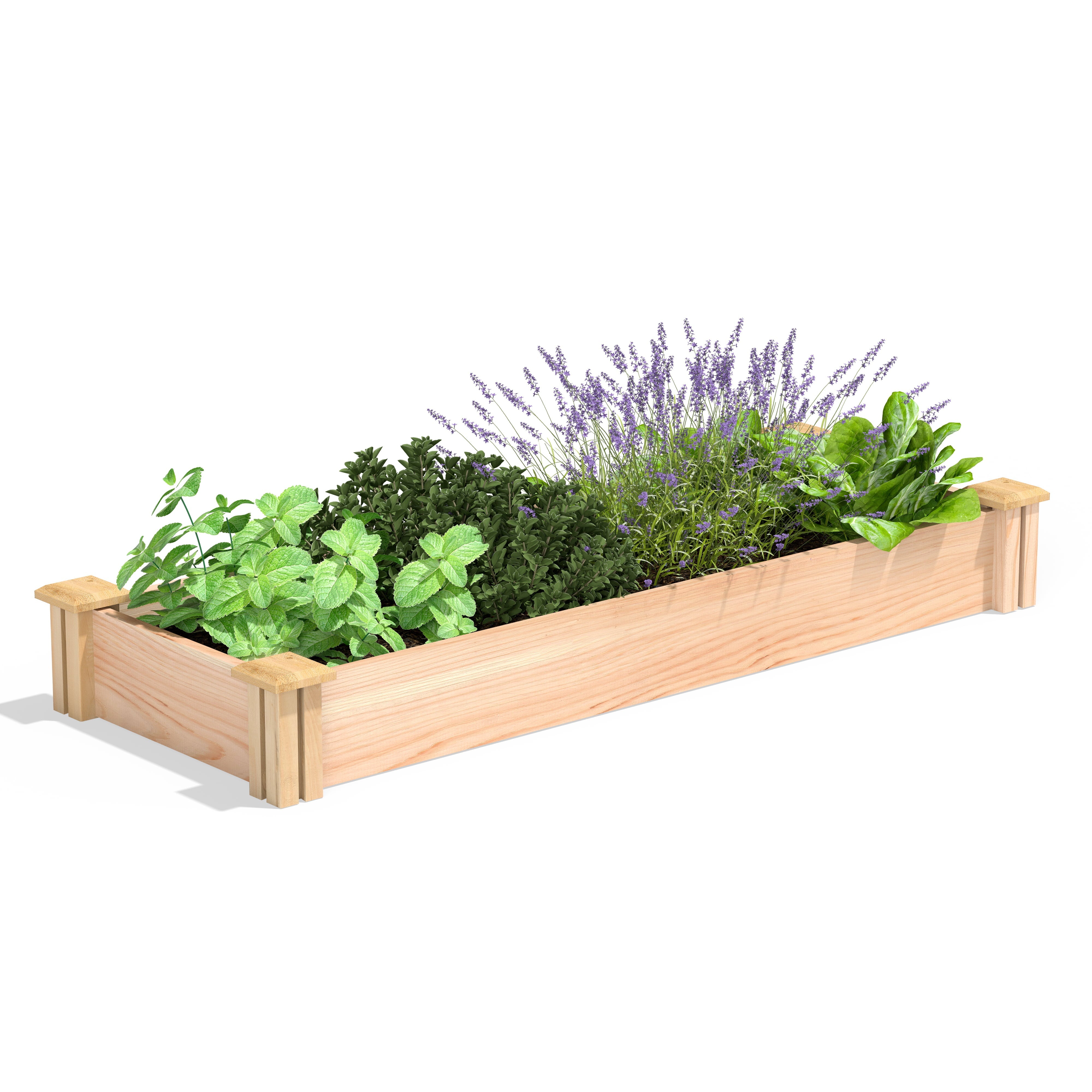 Greenes Fence 16" x 48" x 5.5" Premium Cedar Raised Garden Bed