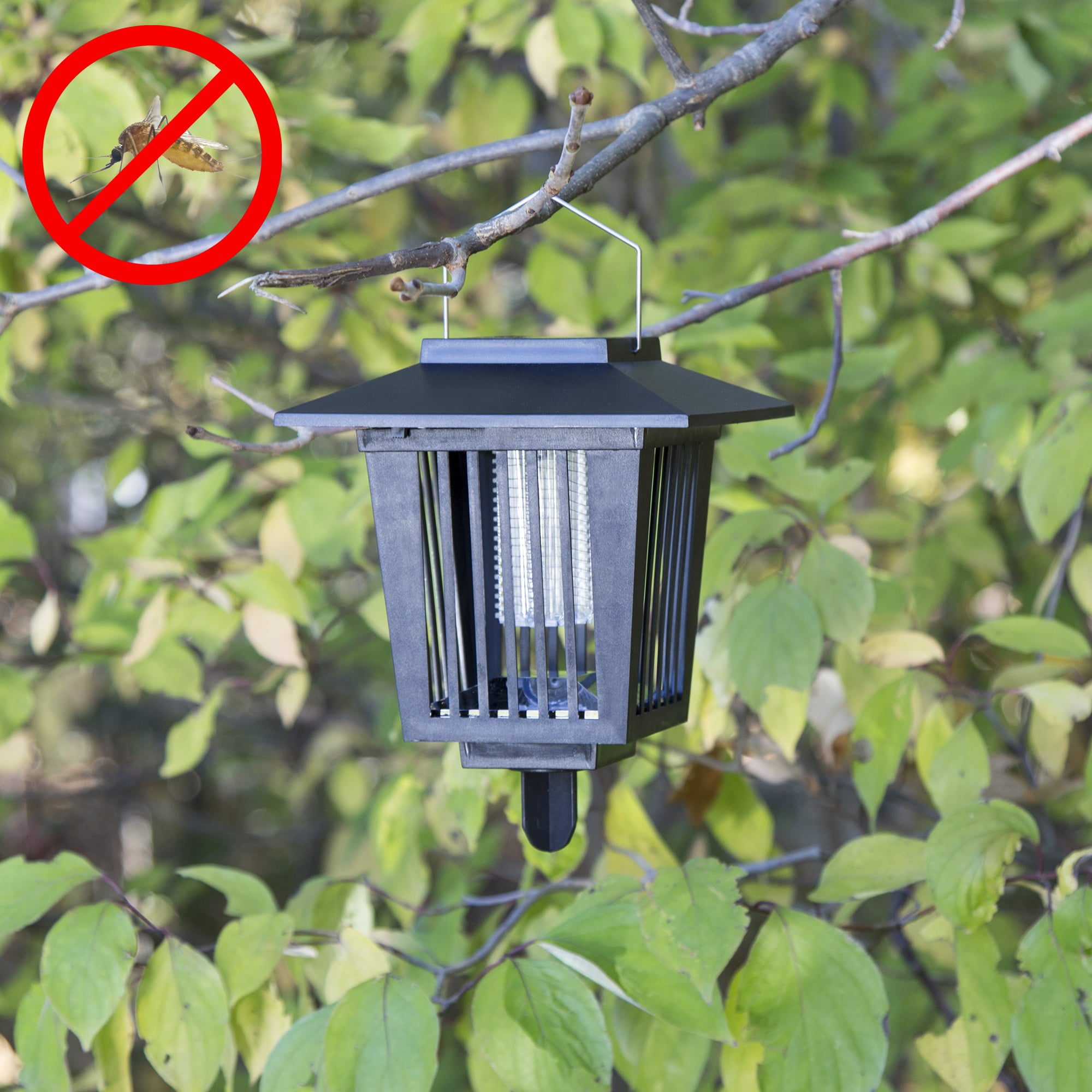 Solar Power UV Mosquito and Bug Zapper LED Light?Black by Pure Garden