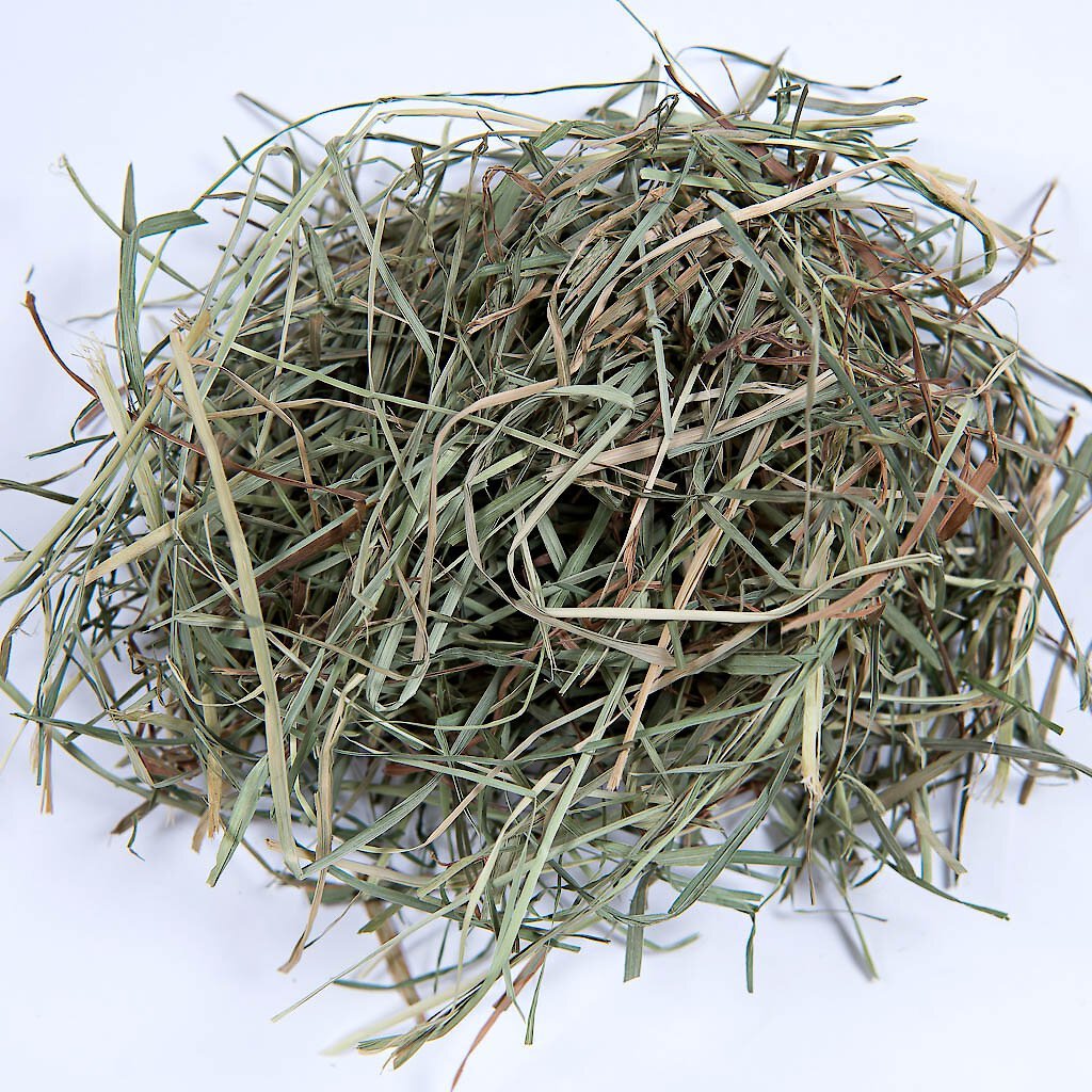 Small Pet Select Orchard Grass Hay Small Animal Food