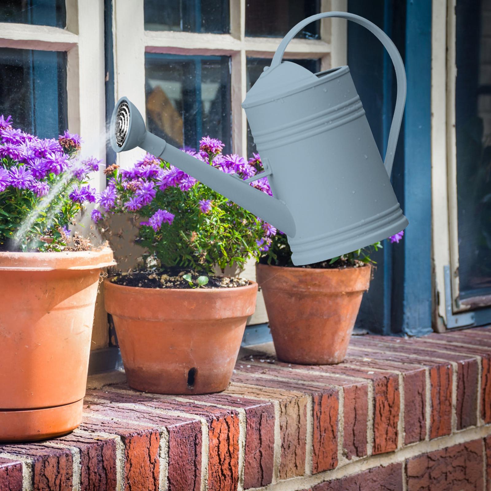 Watering Can Flower Watering Large Capacity with Handles Sprinkler Head for Garden , Blue