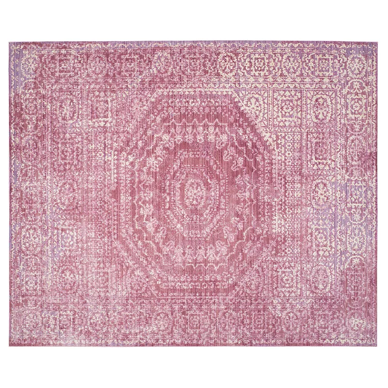 Safavieh Valencia Sheena Framed Medallion Rug