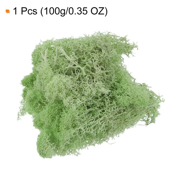 3.5OZ Moss Preserved Moss Artificial Moss for DIY Floral Project Decor