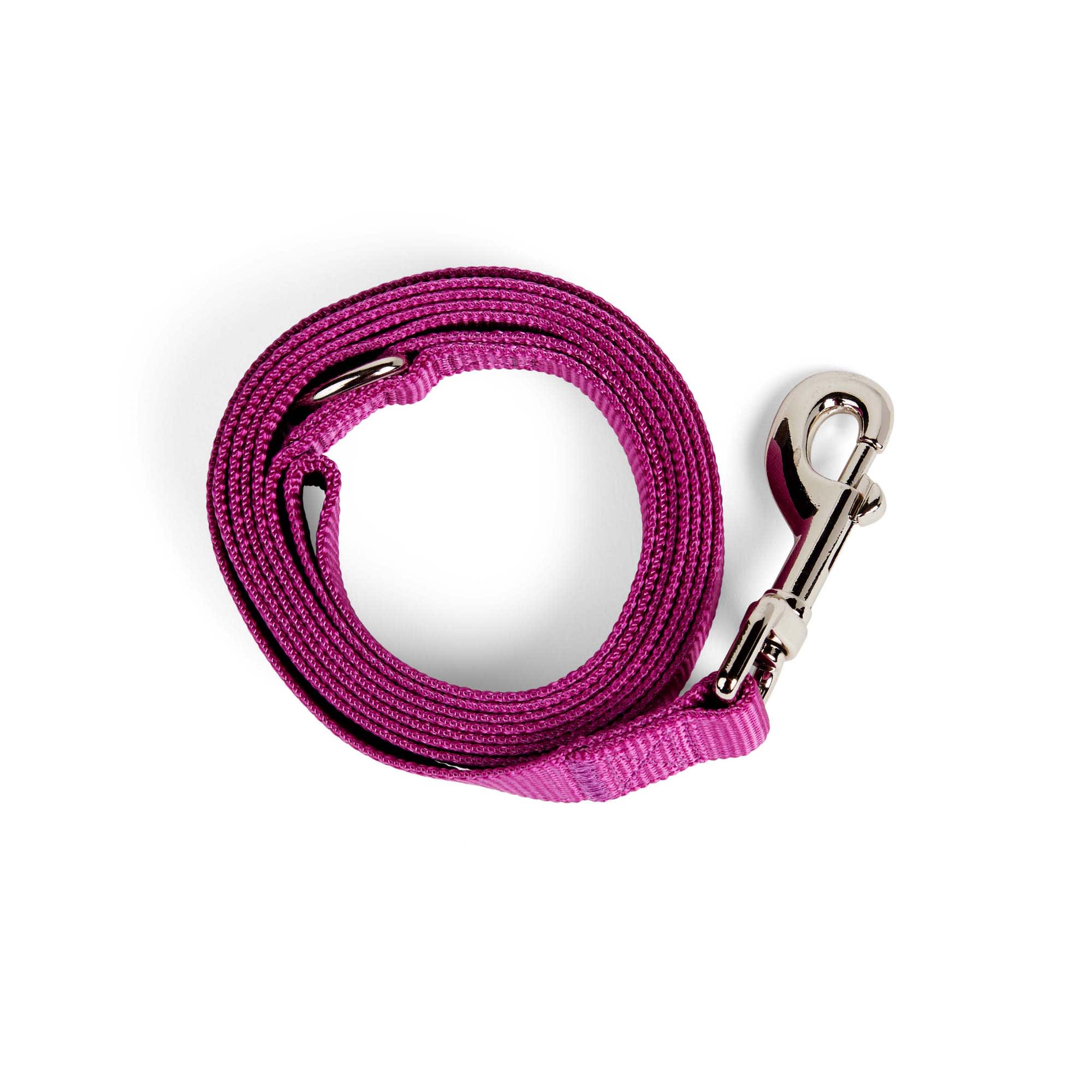 YOULY Berry Dog Lead， 6 ft.， X-Small