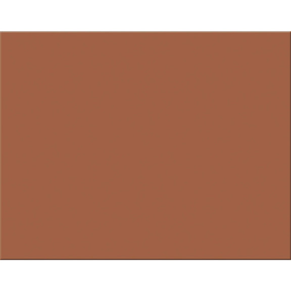 Pacon PAC54691 4 Ply Rr Poster Board 25 Sht Brown