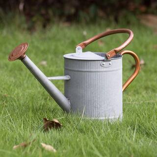 Cubilan 1 Gal. Watering Can Decorative Farmhouse Watering Can Metal Watering Can with Removable Spout B083F9N5M7