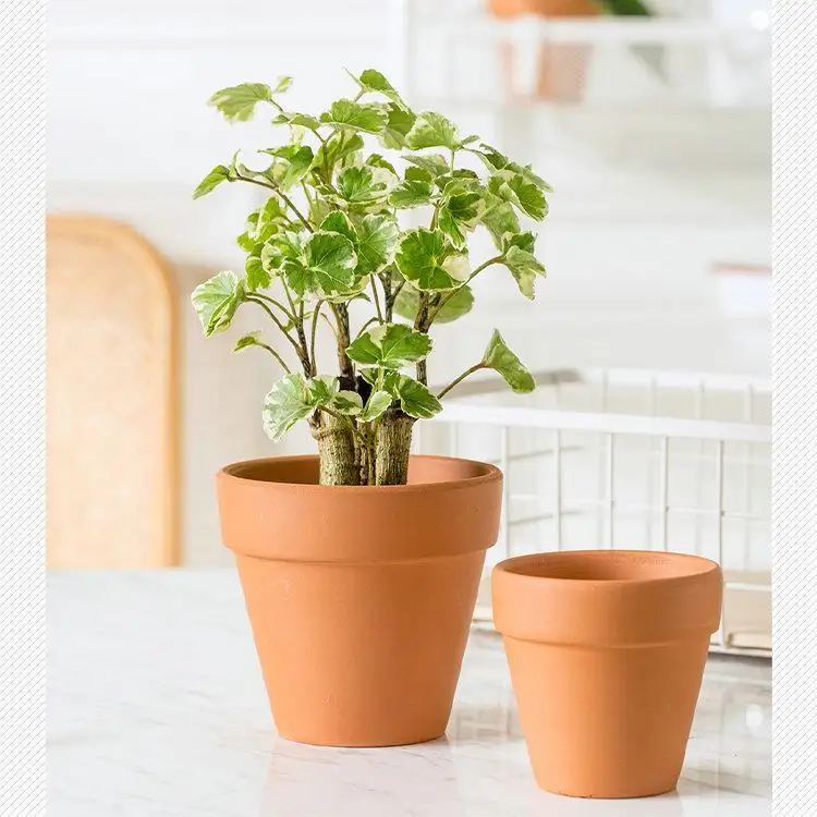 Indoor Outdoor Plant High  Quality Garden Supplies Manufacture Round Colorful Planter Garden Flower Planter Pot/