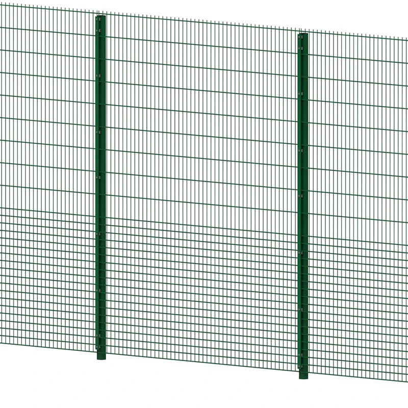 Factory supply zaun Galvanized or powder coated 868 / 656 Wire Double Rod Mat Fences