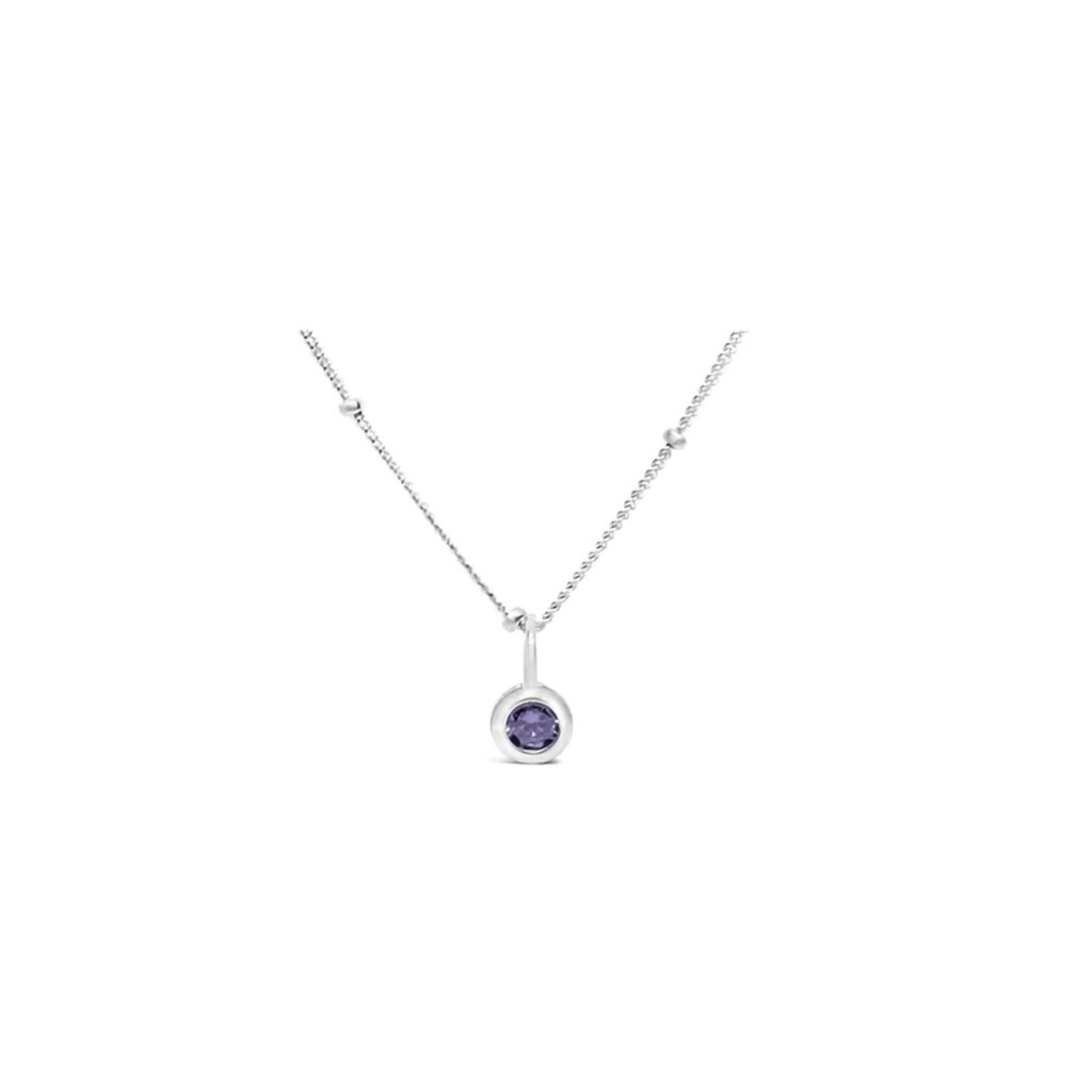 Stia  Amethyst CZ Birthstone Necklace (February)