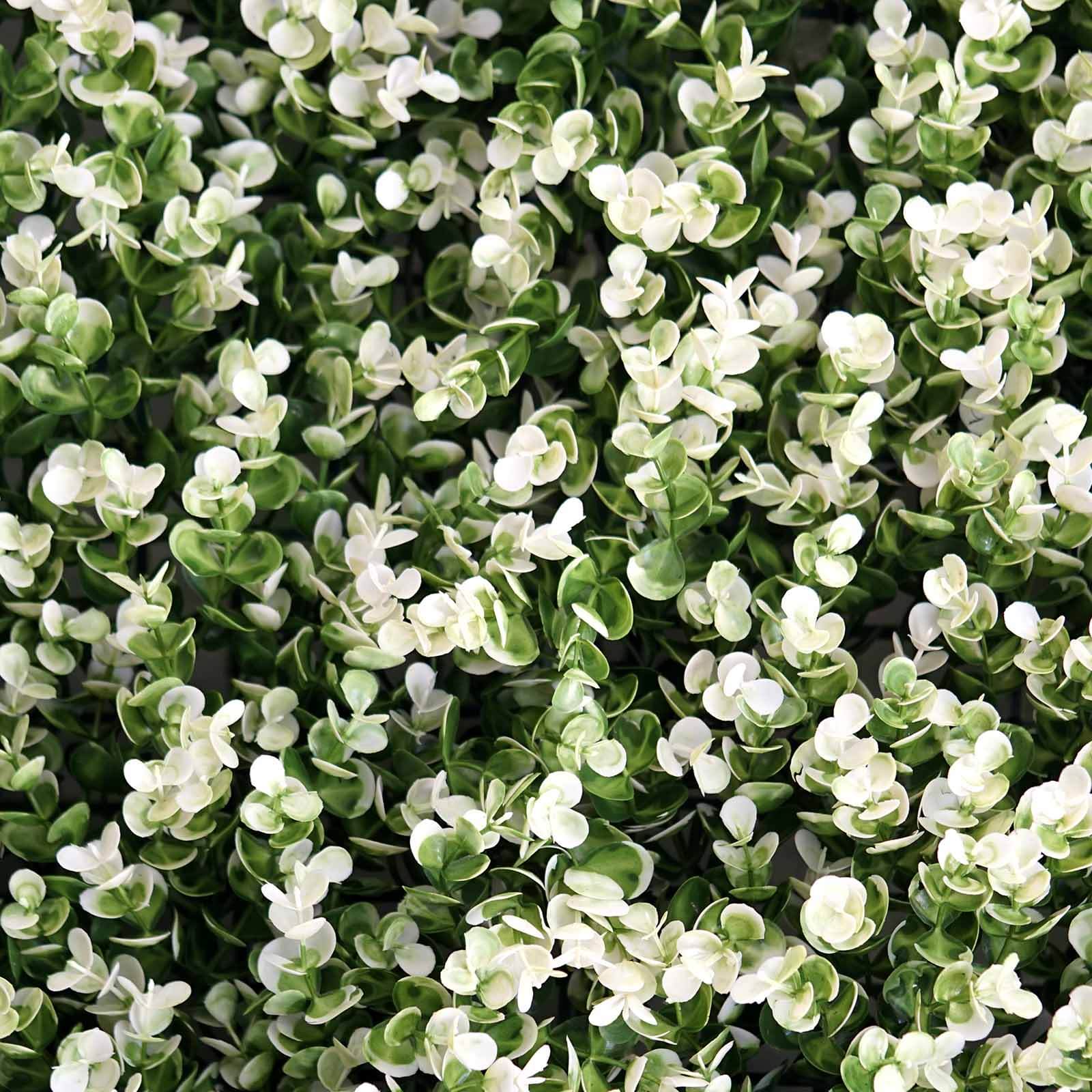 White Tip Green Boxwood Hedge Genlisea Garden Wall Backdrop Mat 4 Artificial Panels 11 Sq ft.