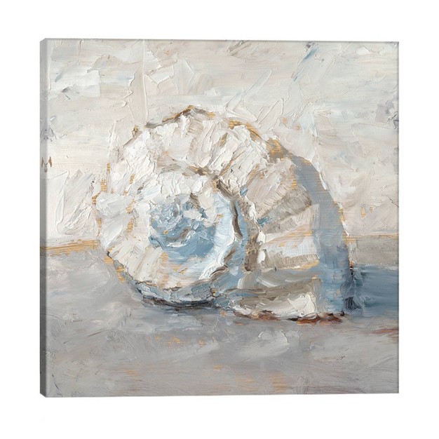 Blue Shell Study Iii By Ethan Harper Unframed Wall Canvas Icanvas