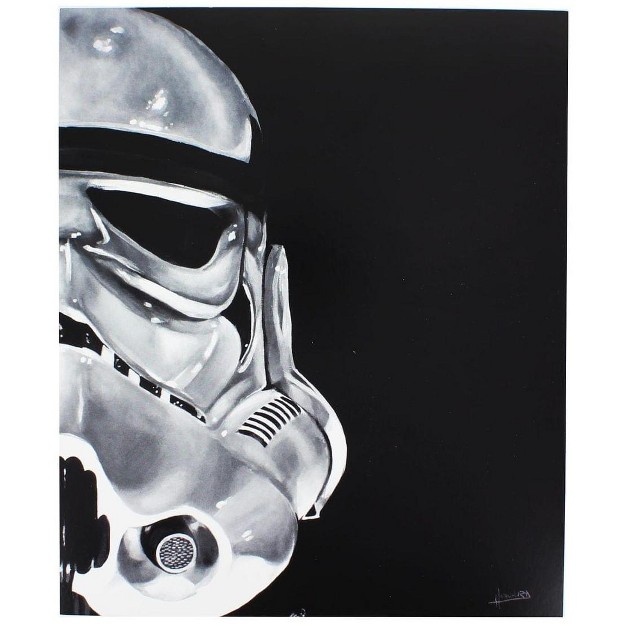 Toynk Star Wars Stormtrooper 8x10 Art Print By Lee Howard nerd Block Exclusive