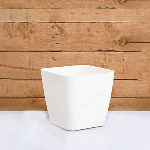 5.5 inch (14 cm) Square Plastic Planter with Rounded Edges (White) (set of 6)