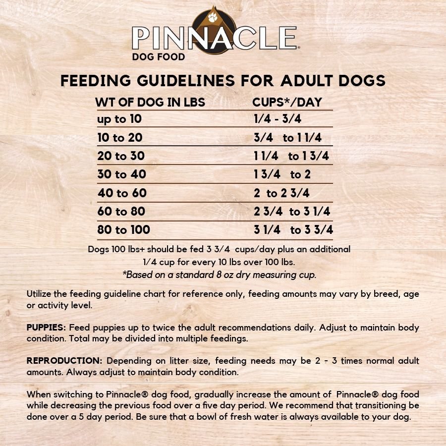 Pinnacle Salmon and Pumpkin Recipe Dry Dog Food