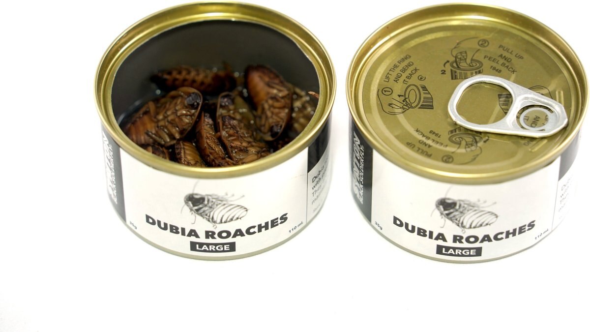 Symton Large Dubia Roaches Canned Reptile Food， 35-g， count of 3