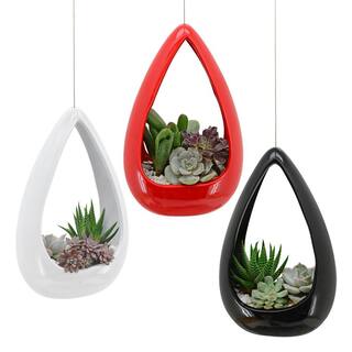 Arcadia Garden Products Cone 8-12 in. x 5-14 in. Gloss White Ceramic Hanging Planter AP05W